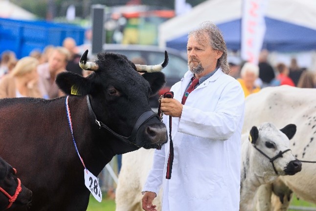 Moreton Show to Champion Rare Breed Livestock